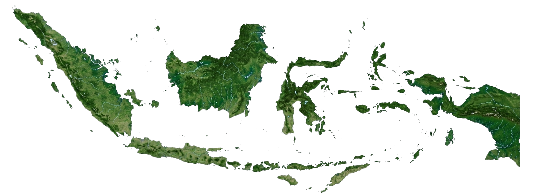 sdg copy